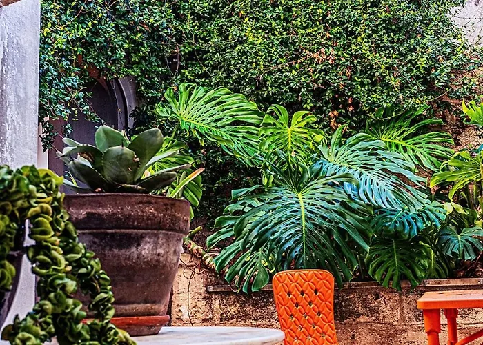 Salento Breeze * Nardo